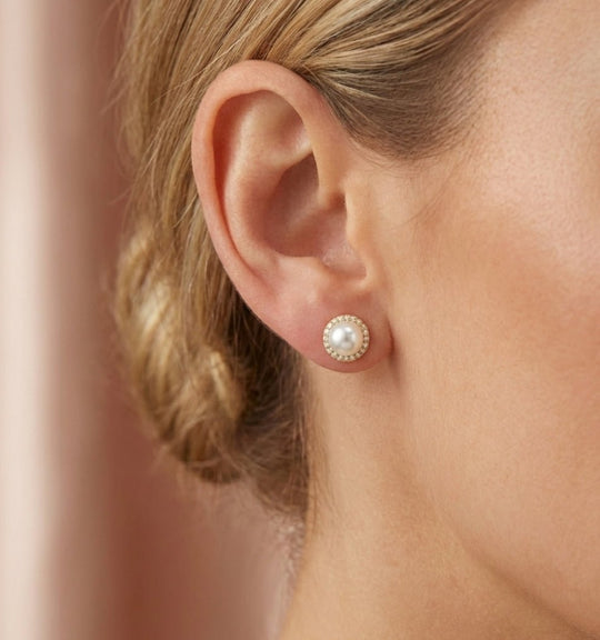 Aros Petite Lumiere Collection - aros de perlas cultivadas enchapadas en oro de 18k - Podios