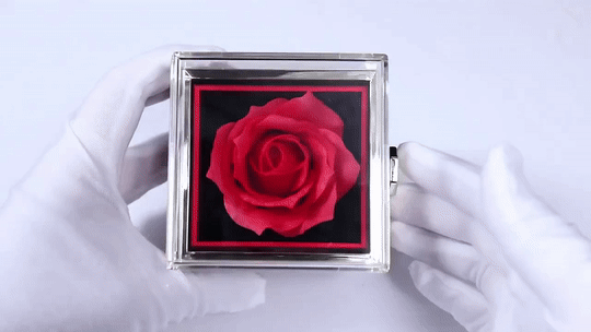 EternalLove™: Regalo especial incluye collar, rosa de terciopelo y caja rotatoria