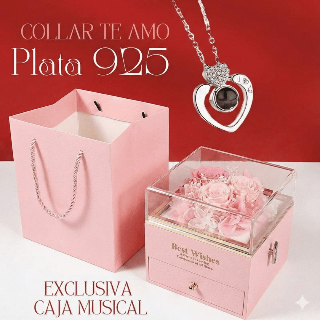 Musical Box con Collar Plata 925 “te amo en 100 idiomas” - Podios