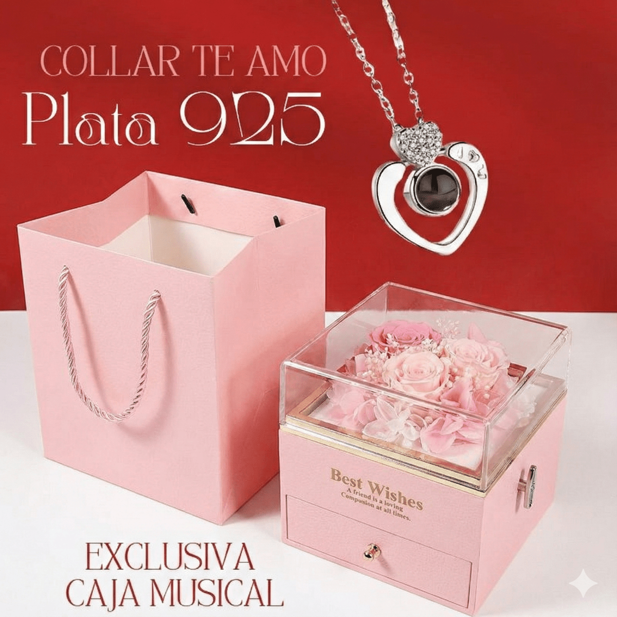 Musical Box con Collar Plata 925 “te amo en 100 idiomas” - Podios